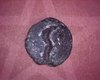 Semuncia.Acorn.Sigma.Cr14.7 rev a.jpg