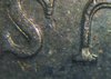 20190716_013704.jpg