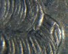 20190716_012853.jpg