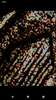 Screenshot_20190717-053116.png
