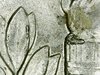 WIN_20190718_16_10_41_Pro.jpg