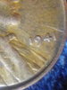 20190719_134459_Burst01.jpg