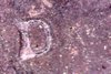 Photo on 7-21-19 at 10.46 AM #2.jpg