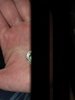 20190724_213308.jpg
