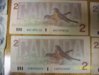 newnotes1210 009.jpg