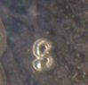 Picture or Video 002.jpg