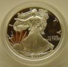 US_2001-W_silver-eagle_proof_obv_08.JPG