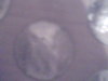 coins 004.jpg