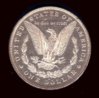 1881-O Morgan dollar, rev.jpeg