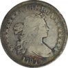 bustdollar3.jpg