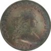 bustdollar5.jpg