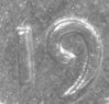 1960D DD 19 bw.jpg