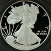 2010SAEObv.jpg