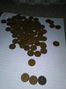 20190725_055705.jpg