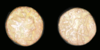 83870368-3635-4CEE-BE52-1429361AFF9C.png