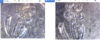 Annotation 2019-08-05 074047.png