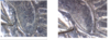 Annotation 2019-08-05 074354.png