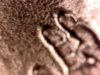 WIN_20190808_21_38_36_Pro.jpg