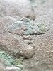 20190809_202909.jpg