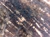 WIN_20190809_23_36_48_Pro.jpg