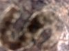 WIN_20190809_23_59_30_Pro.jpg
