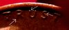 20190813_071721.jpg
