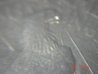 coins 003.jpg