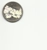 quarter shine.jpg