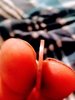 20190821_015856.jpg