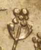20190822_120158.jpg