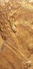 20190823_032009.jpg