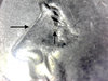 S20190822_008.jpg