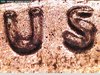 LC1982DDO_5.jpg