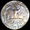 1981 Quarter2.JPG