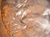 1992 Lincoln ear.jpg