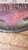 A9CEB63C-4B8B-4741-91AC-C29AEA735C4A.png
