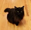 20170527_114843-2.jpg