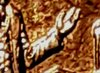 Image6.jpg