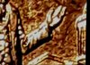 Image20.jpg