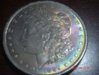 1889 toned morgan 001.jpg