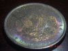 1889 toned morgan 005.jpg