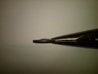 IMG00022-20101219-1315.jpg