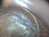 1916 buffaloe nickel 002.jpg