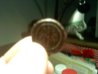 Penny1.jpg
