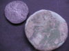 Tiberius Tribute Penny 003.JPG
