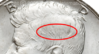 hairlines_ws.png