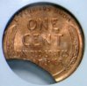 1956P_re.jpg
