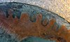 2017 P Lincoln Cent? IN GOD.jpg