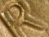 IMG_4344.PNG