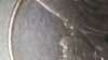 IMG_20190918_142339.jpg